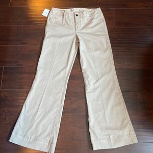 Level 99 NWT size 29 wide leg twill pants in wheat.